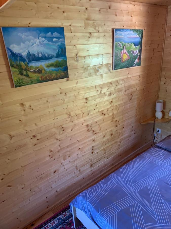 Chalet rustique, 3pièces, jusqu'à 6 personnes Urbès Exterior foto