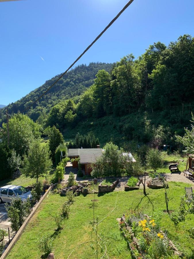 Chalet rustique, 3pièces, jusqu'à 6 personnes Urbès Exterior foto